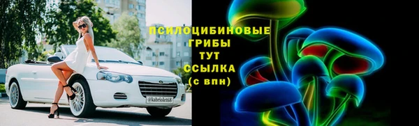 винт Алзамай