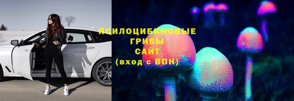 PSILOCYBIN Абинск