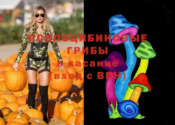 PSILOCYBIN Абинск