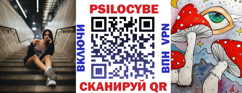 где купить наркоту  Касли  kraken   Псилоцибиновые грибы Psilocybine cubensis 